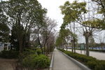 校园小道