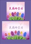 美丽郁金香