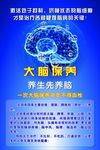 大脑保养图