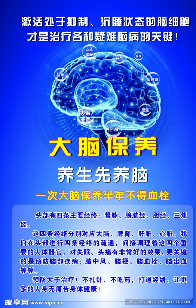 大脑保养图