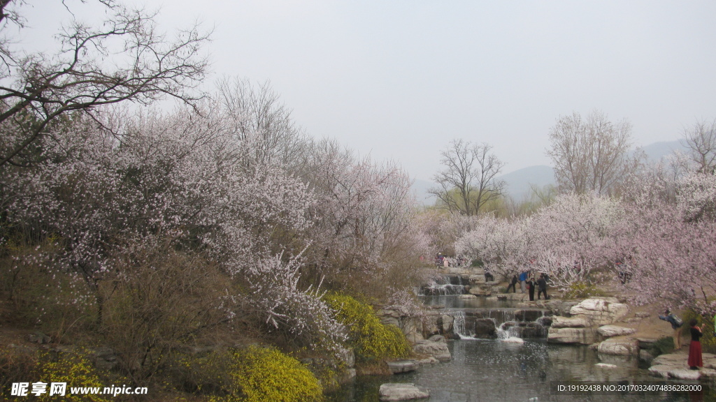 植物园风景