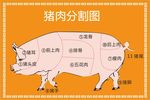 猪肉分割图