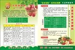 肥料海报