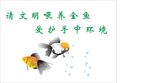 文明金鱼