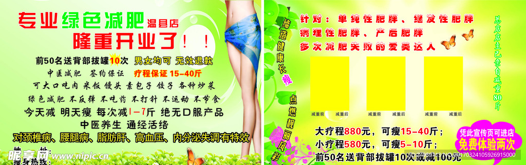 绿色减肥单页