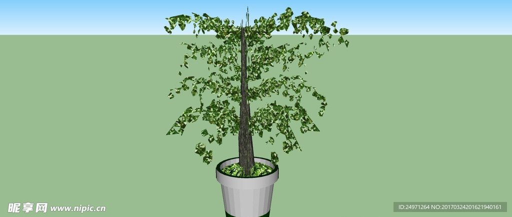 3d花盆植物景观