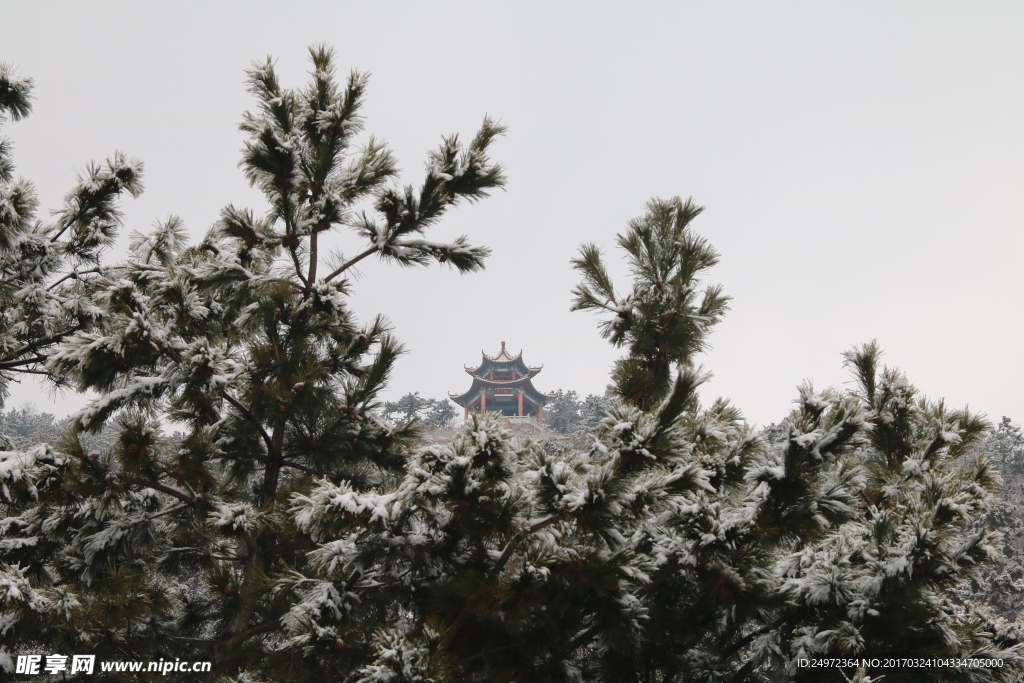 雪中情