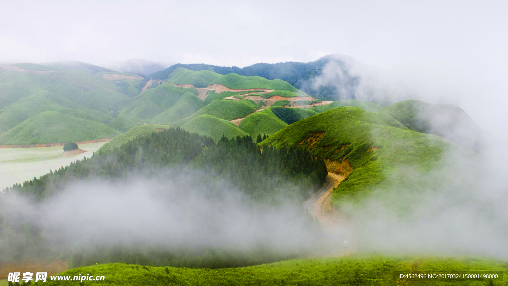 雾中青山