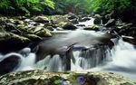 青山绿水