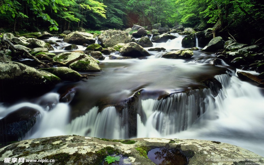 青山绿水