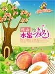 阳山水蜜桃海报