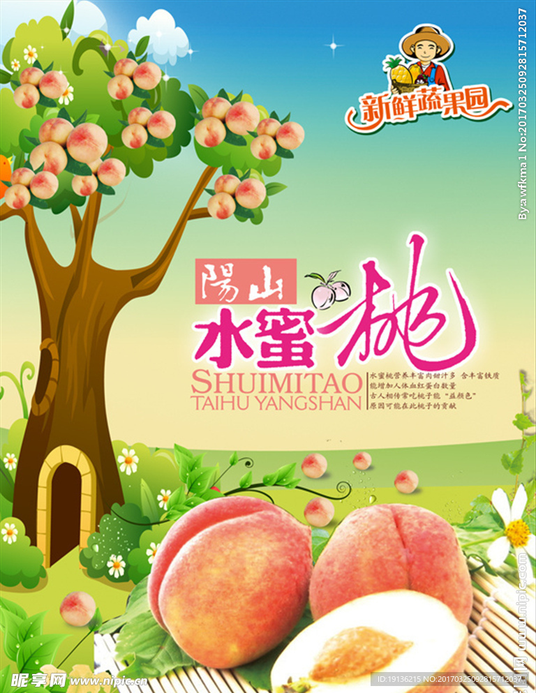阳山水蜜桃海报