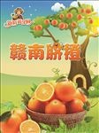 赣南脐橙海报