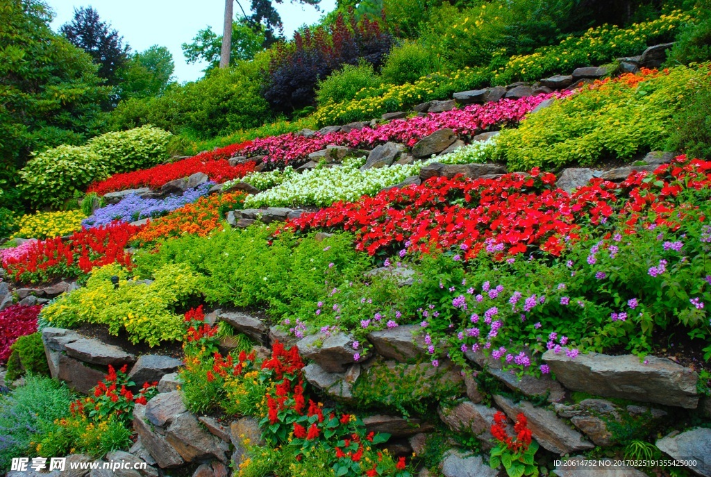 花园美景