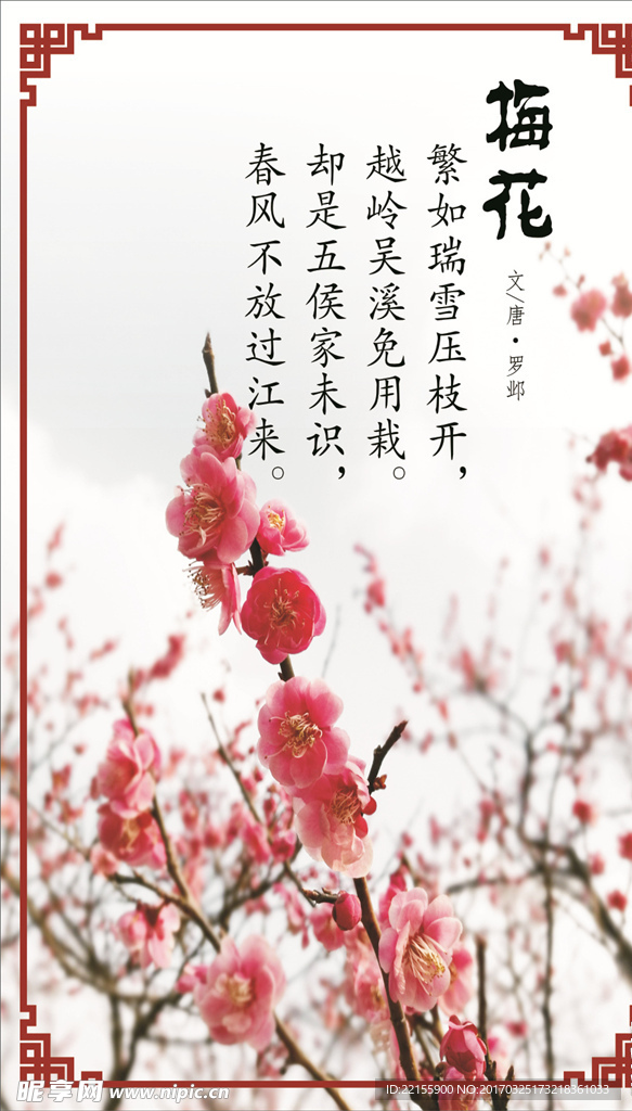 梅花