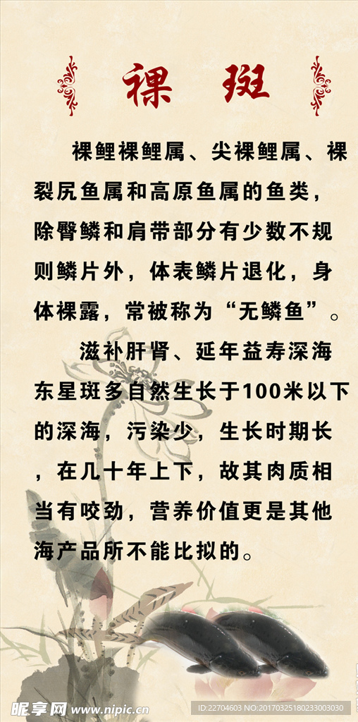 裸斑简介