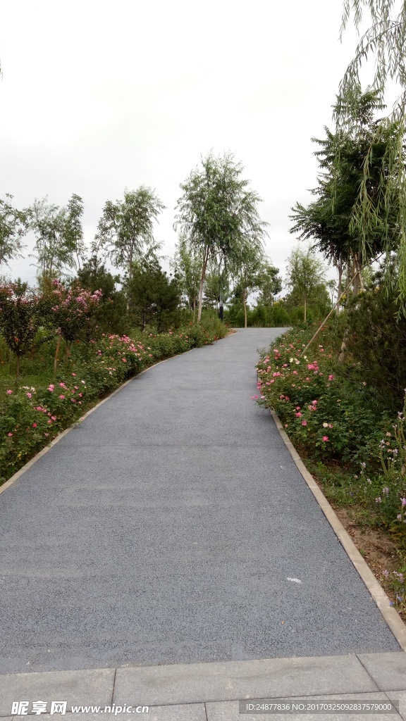 花园中的小路