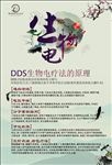 DDS 生物电 疗法 原理