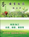 安吉白茶名片