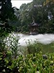 湿地公园