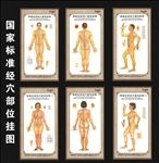 人体穴位图