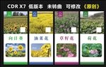 花类展架