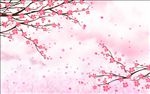 樱花背景PSD