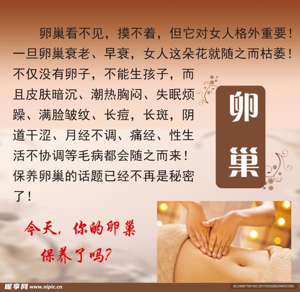 卵巢