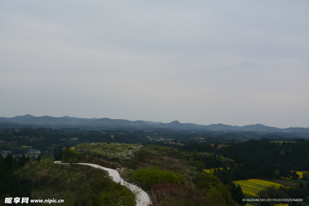 田园风光