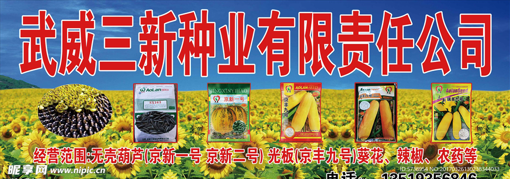 向日葵 葫芦种子销售海报