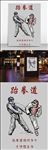 跆拳道招生海报