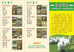 北方羊庄菜单宣传单张