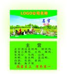 养鸡名片