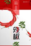 有机辣椒海报