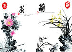 中国风国画菊花兰花