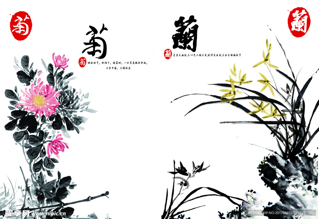 中国风国画菊花兰花