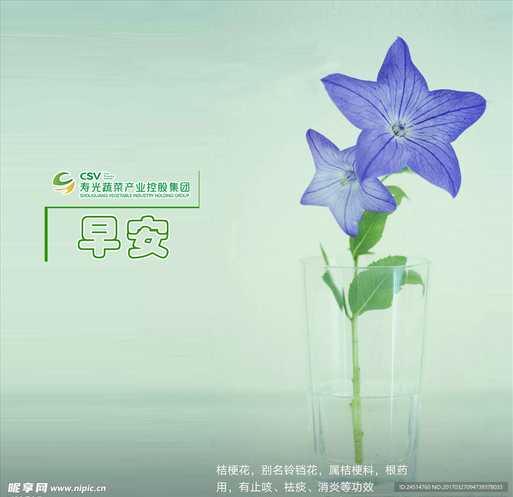 早安
