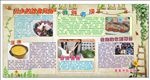 壮族饮食风俗   壮族宣传板报