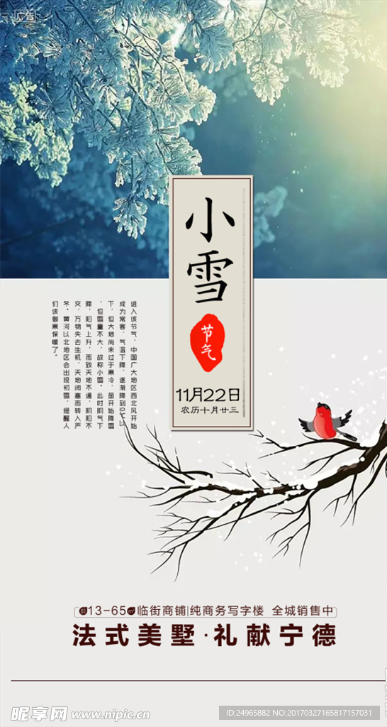 小雪 微信