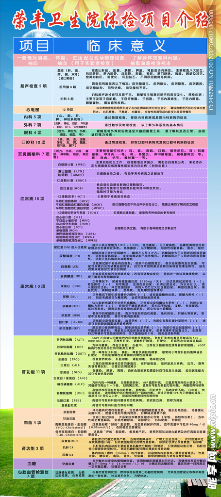 体检项目展架