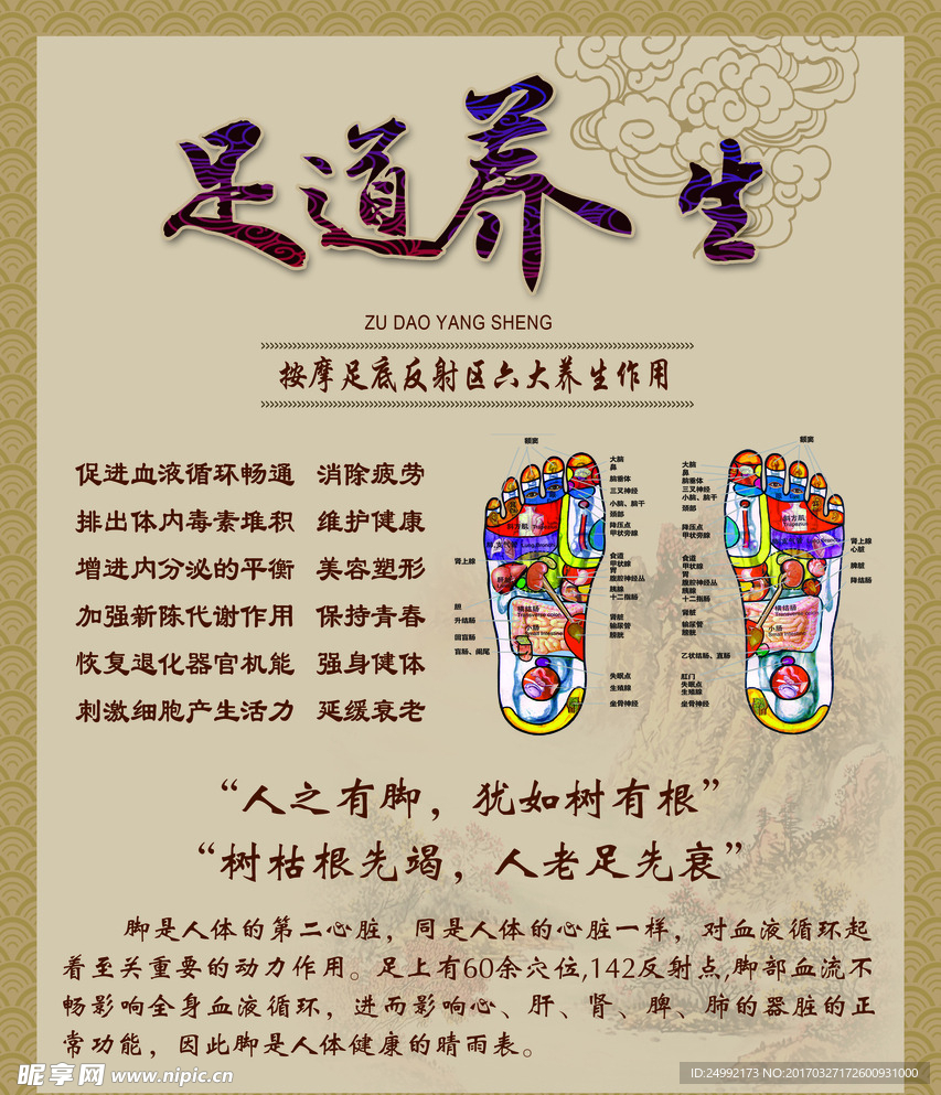 足部反射区