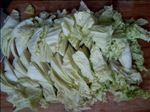大白菜
