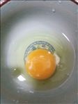 鸡蛋