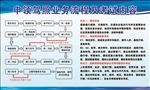 申领驾照流程图