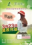 摄影宣传单