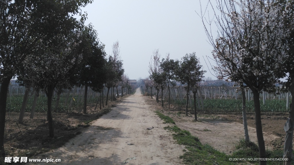 乡间的小路