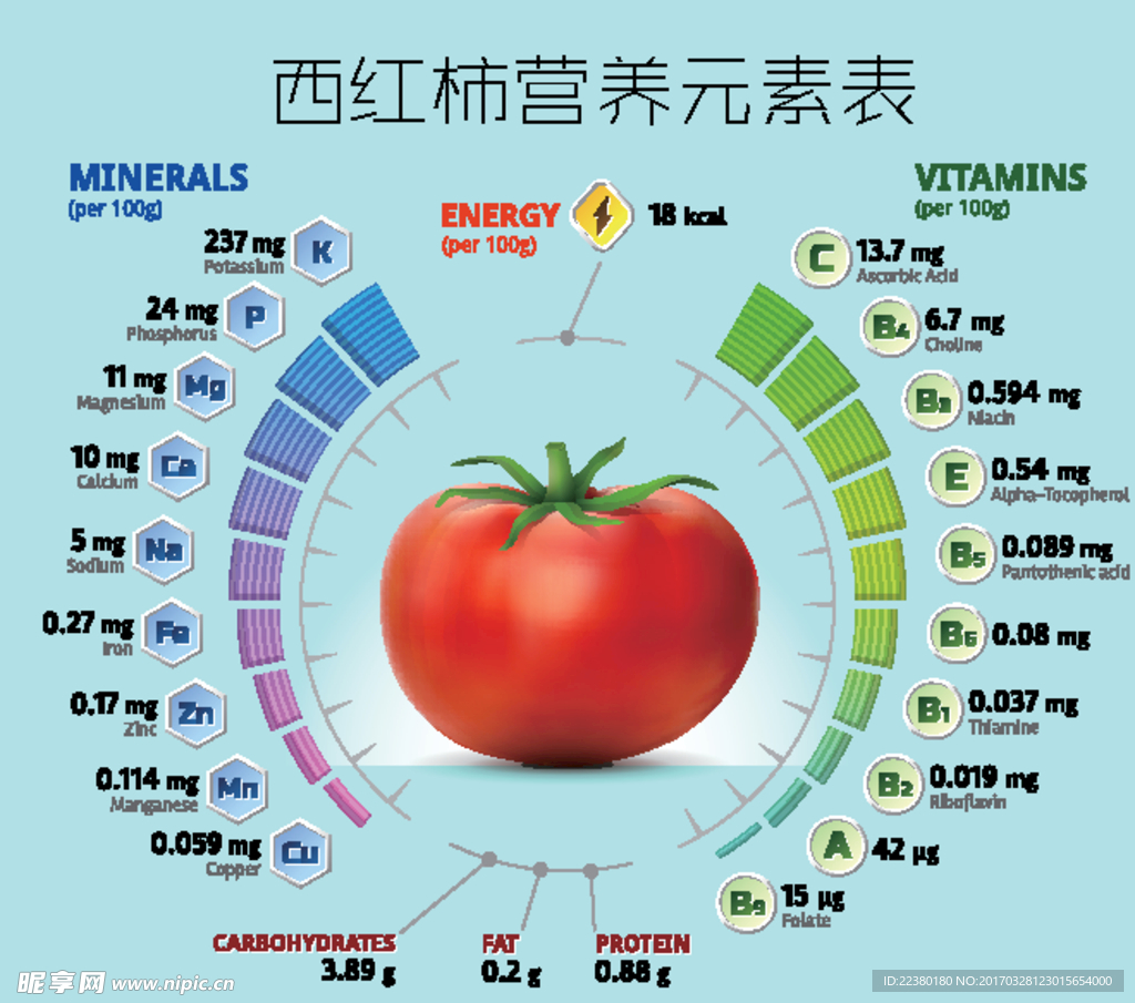 西红柿