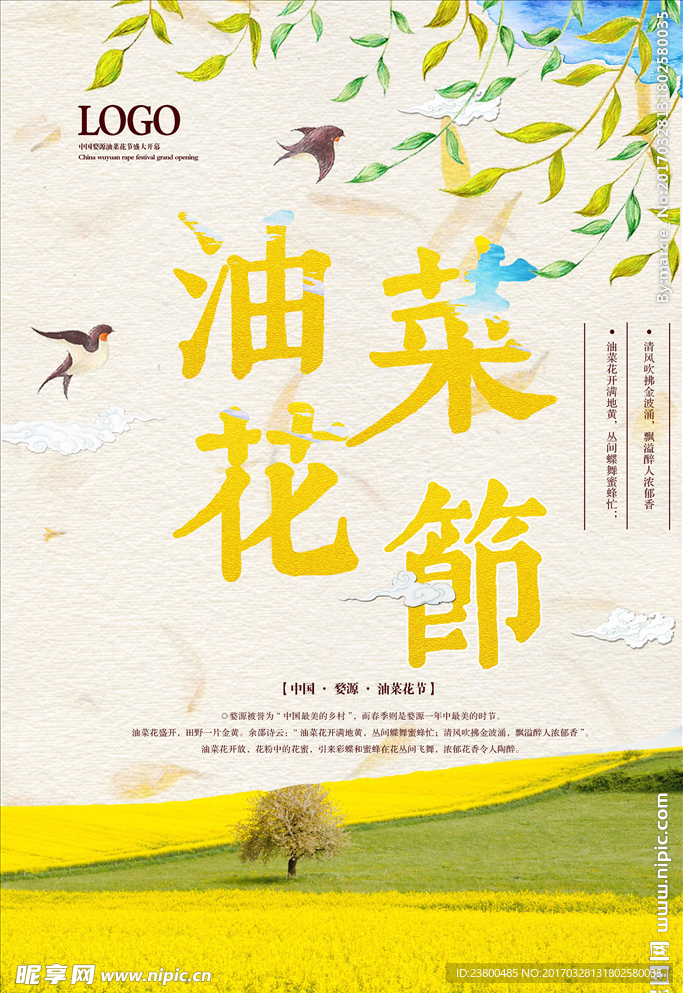油菜花海报 插画