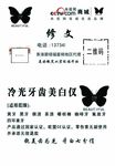 碧缇福
