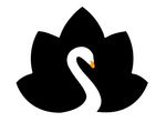 天鹅